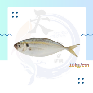 WF20. 小黄鱼 Yellow Fish