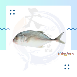 WF15. 水晶鱼 Ikan Nyok 100/200