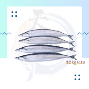 WF11. 海睛鱼 Ikan Pacific 7/8