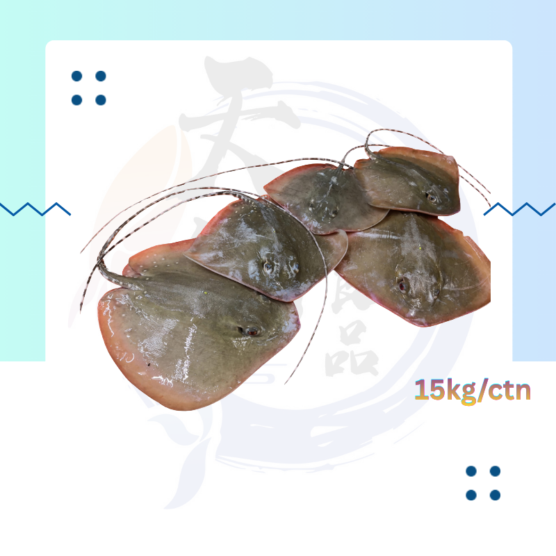 魔鬼鱼.png