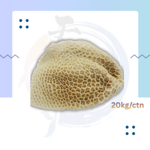 B10. 蜂窝肚 02 Honeycomb Tripe