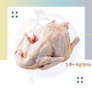 C28. 老母鸡 Ayam Tua