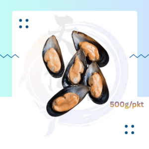 SF26. 黑豪 Mussel 20/30