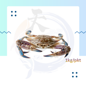 SF27. 花蟹 Ketam Bunga 100/200