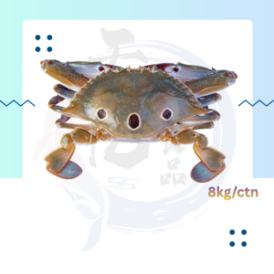 SF28. 三点蟹 Ketam Tiga Dot 100/200
