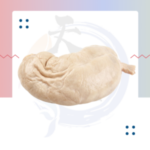 PN3. 猪肚 Pork Tripe